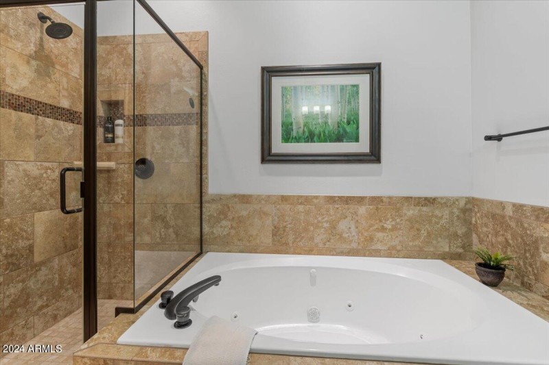 Jetted Tub And Cavernous Shower