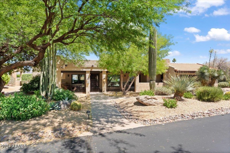 True Native Arizona Desert Landscaping