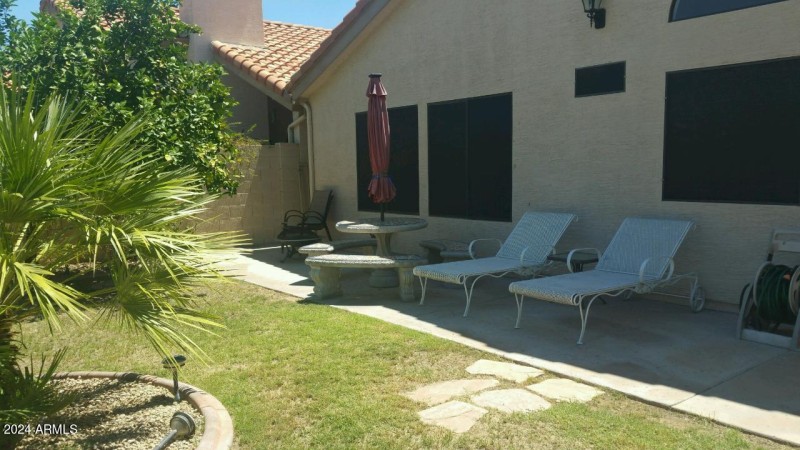 Back Yard