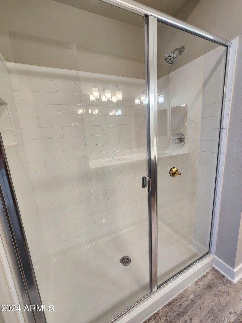 Master Walk-In Shower