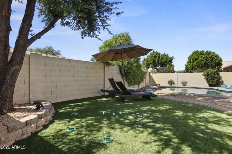 Lush yard area