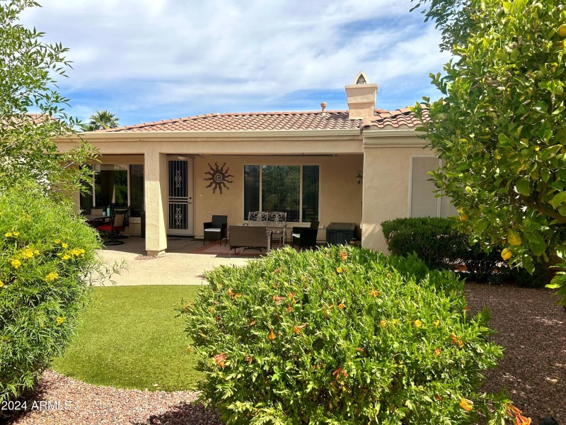 nogales side back yard