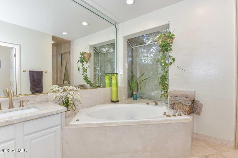 Master Bath-Jetted Tub
