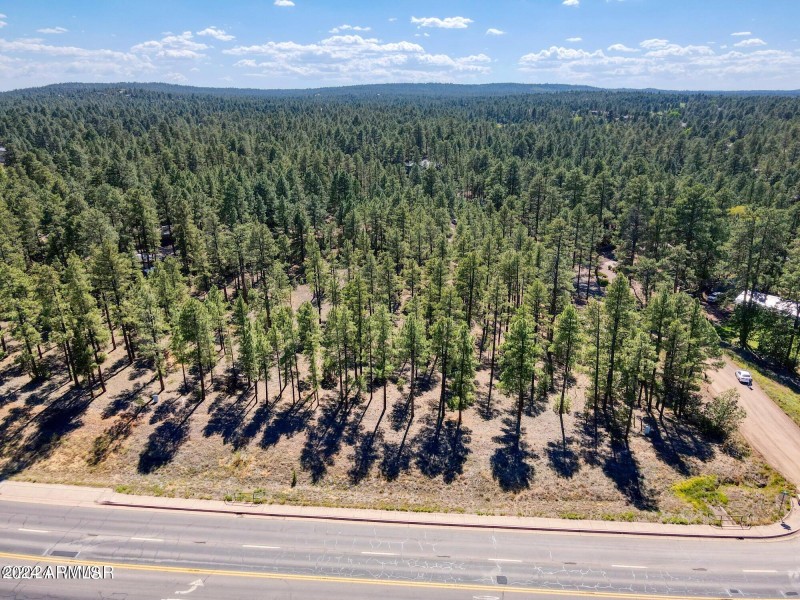 Commercial gem: highway & pine trees