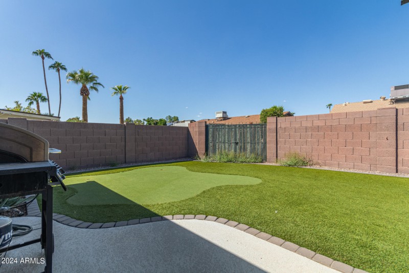 Backyard