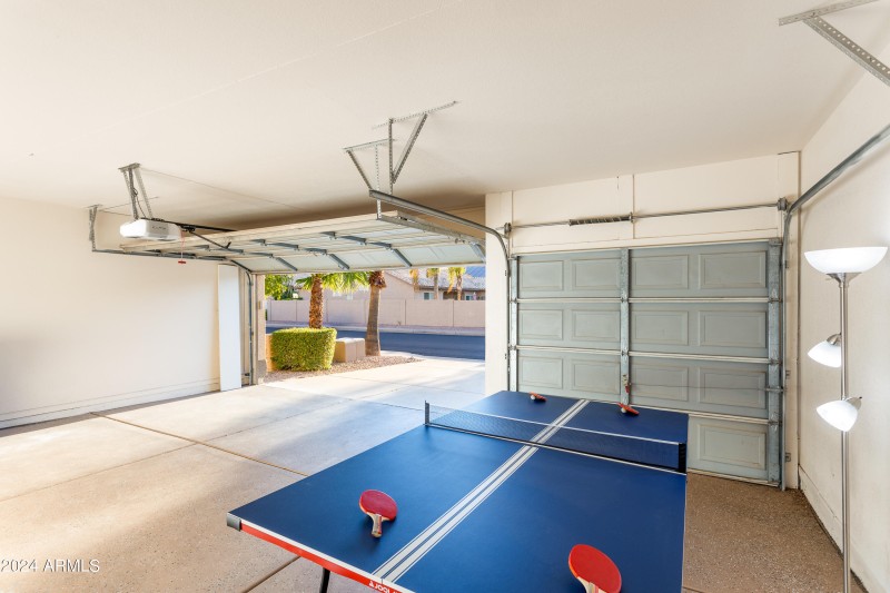 Table Tennis/Ping Pong