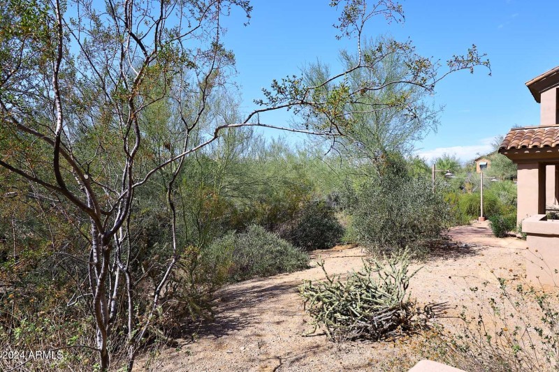 Covered Patio-Wash View