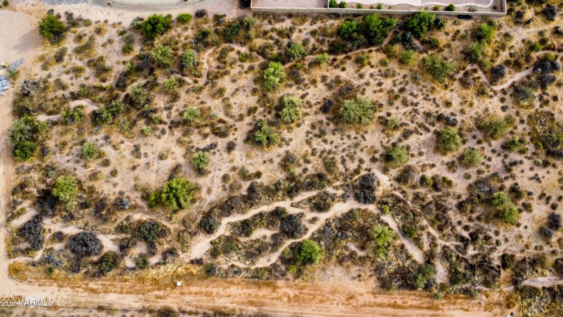 Photo Oct 09 2024, 3 55 52 PM