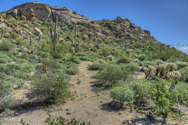 005_View towards the Mountain