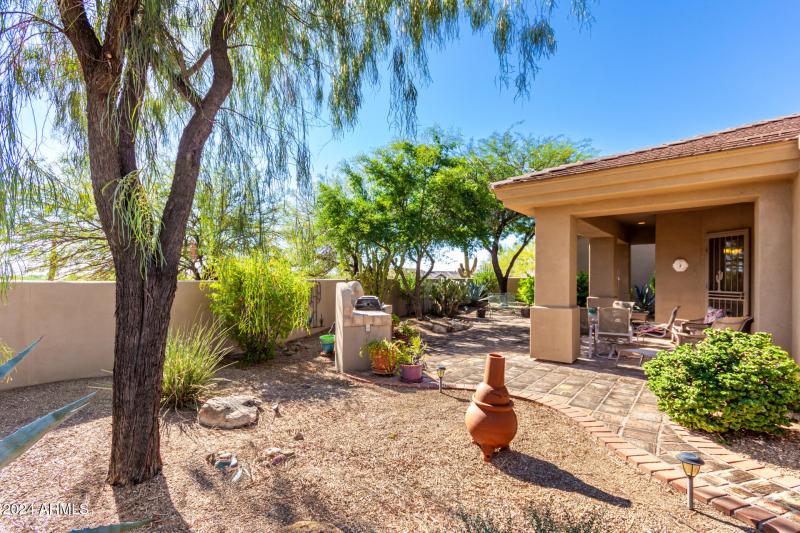 Spacious Backyard