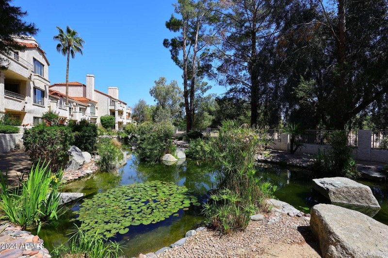 Scottsdale Bay Club-Koi Pond