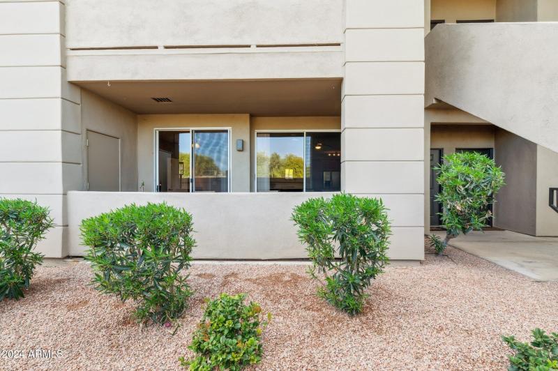 Looking at patio