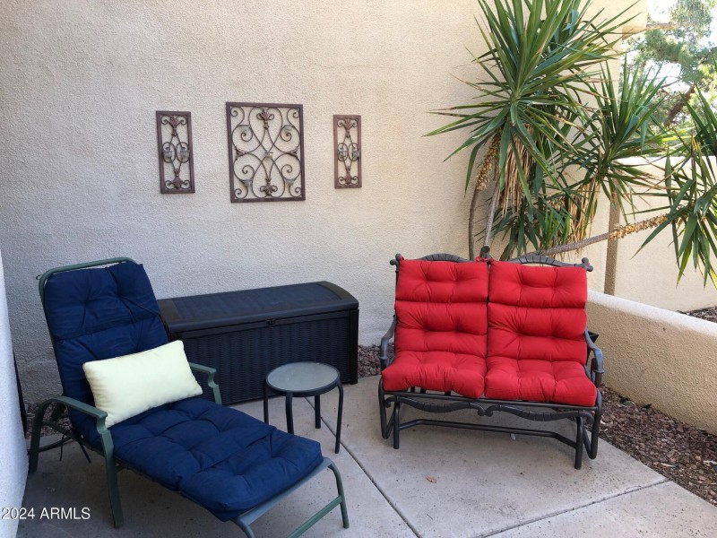 Rear patio 5