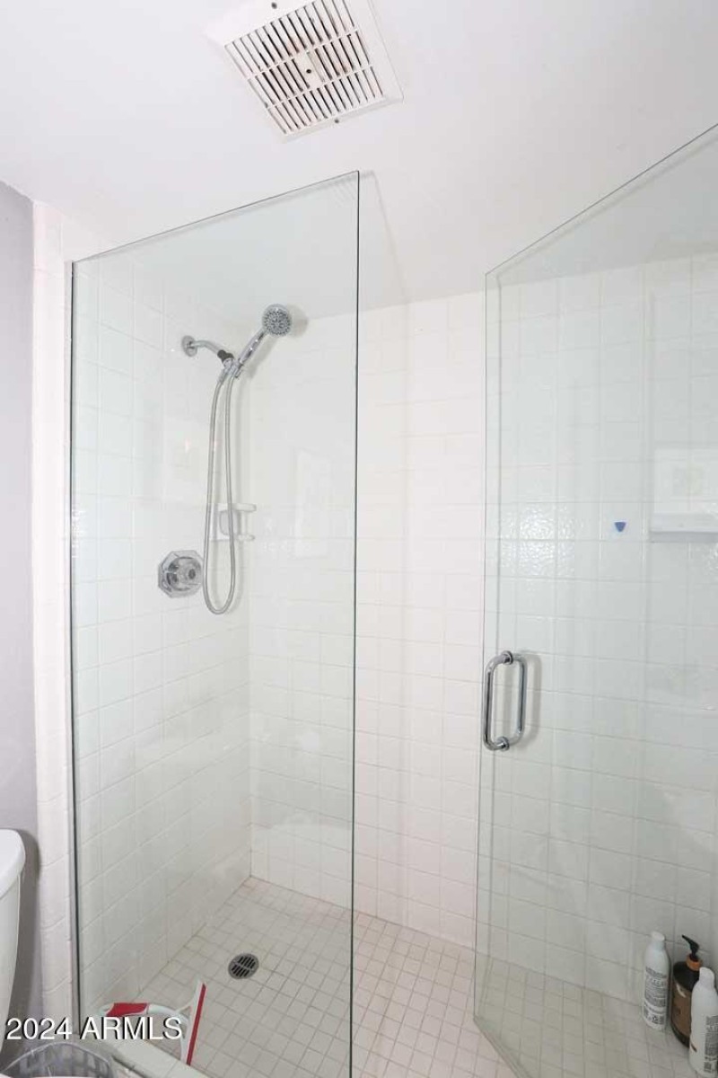 Guest Bath-Shower
