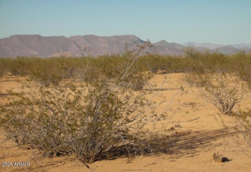 52751 W US Highway 60