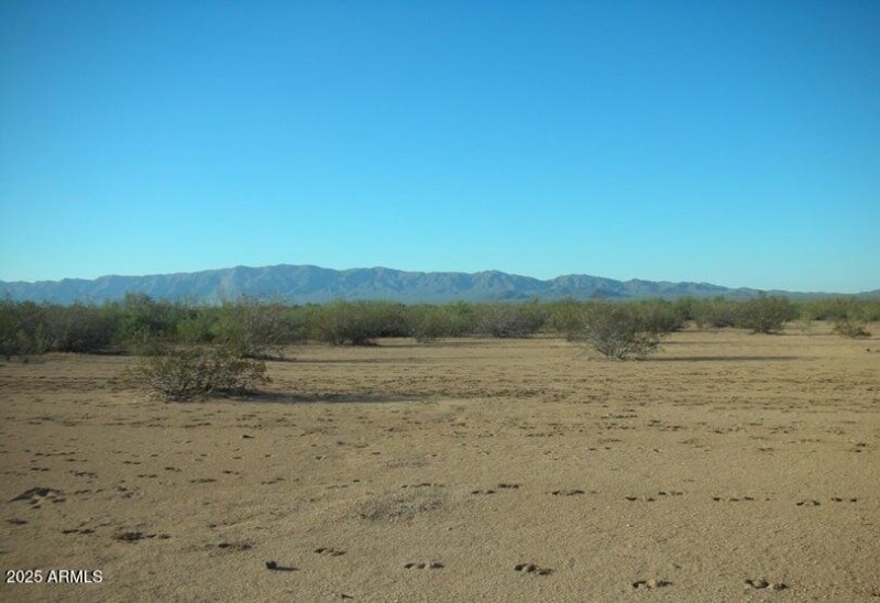 52751 W US Highway 60