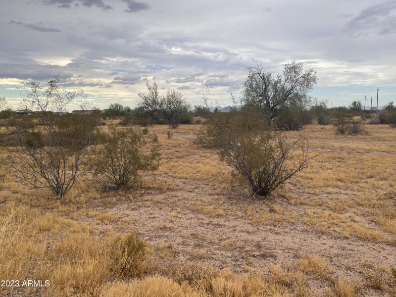 Beautiful Desert Land