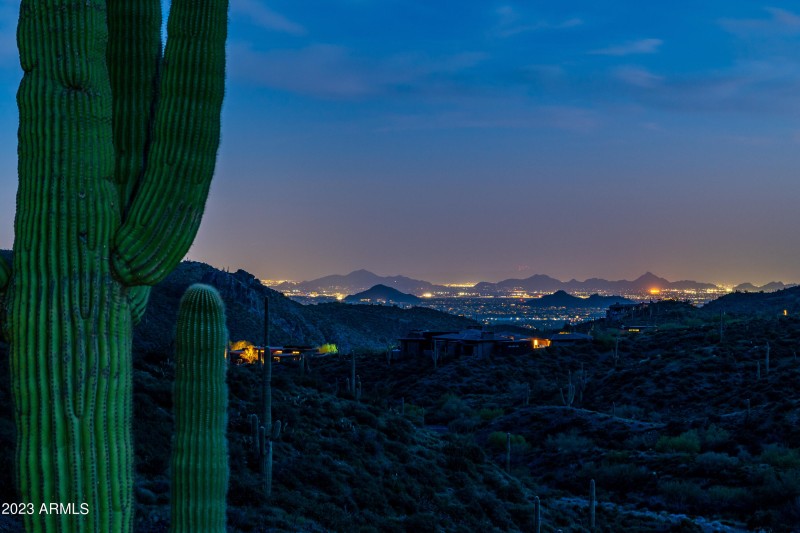 Expansive City Lights