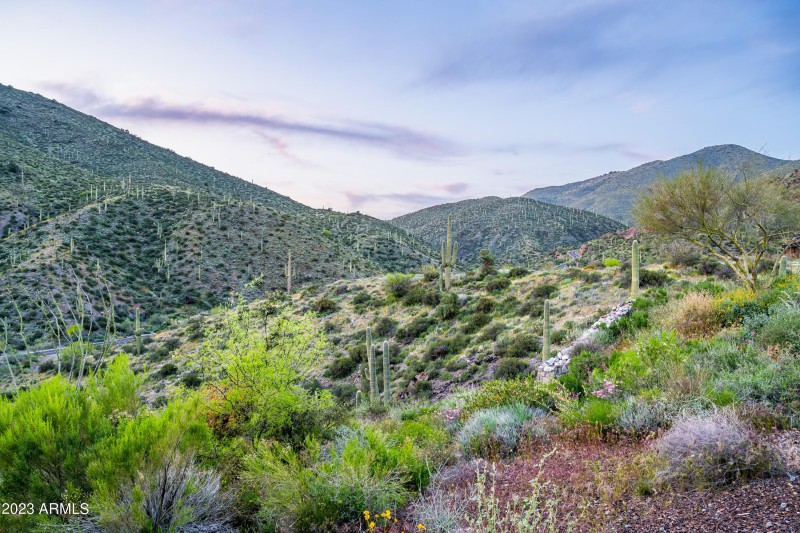 High Sonoran Enchantment