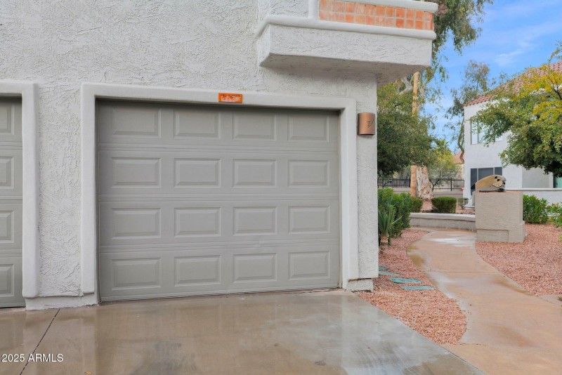 28-web-or-mls-P1058608