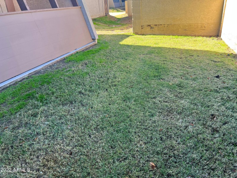 Grass Area in Back of Townhome