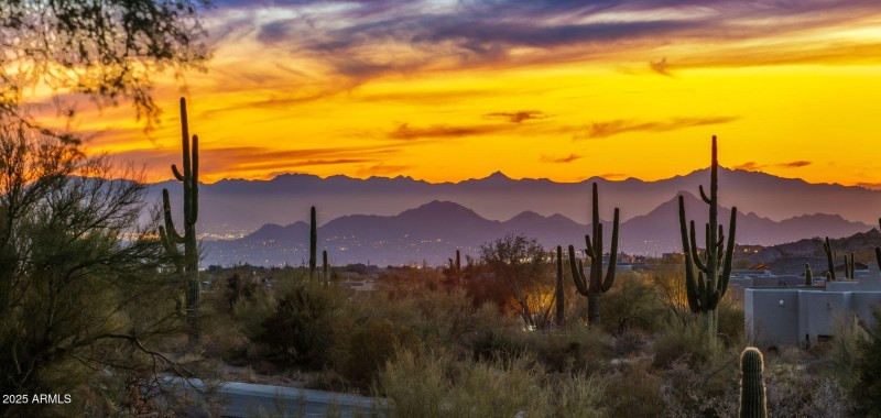 1-web-or-mls-City Lights