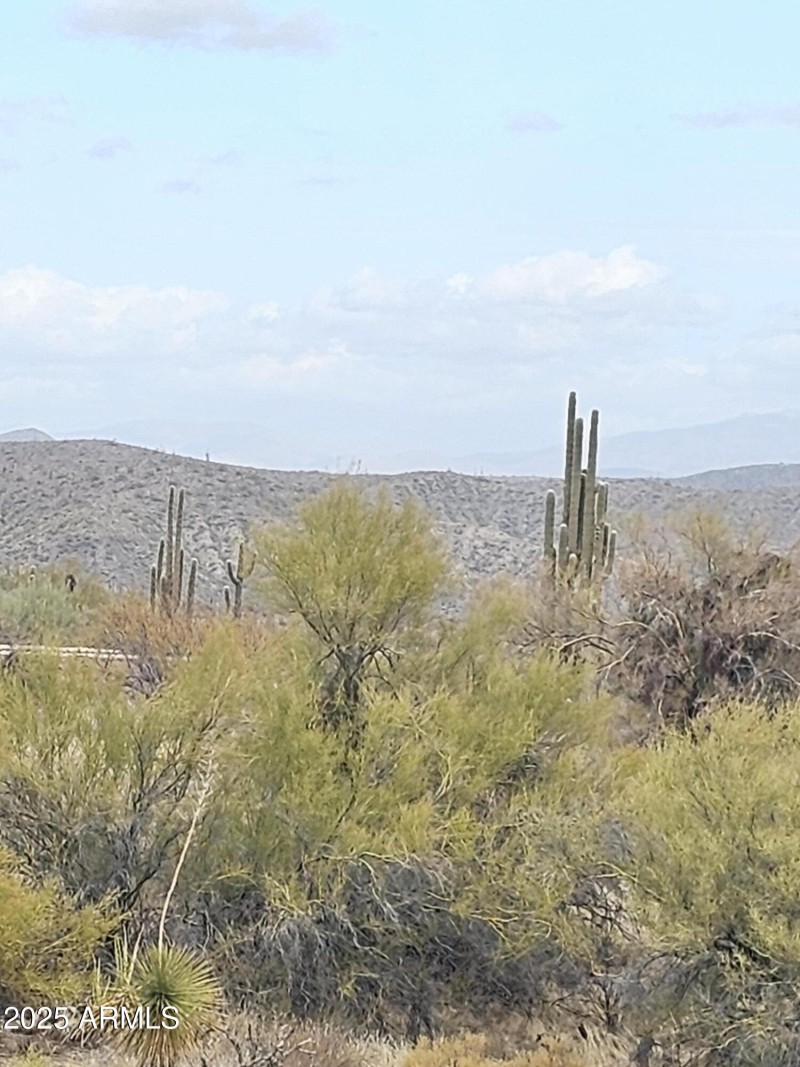 Beautiful Mountain views