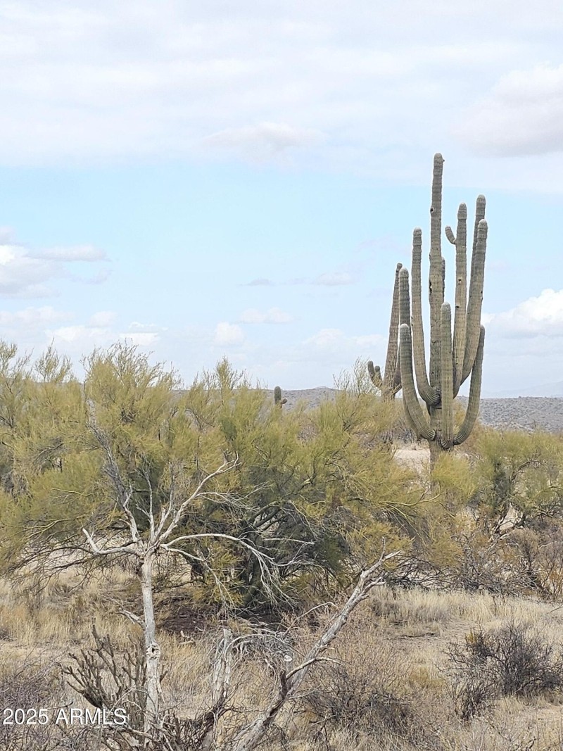 Even cloudy... it's Beautiful