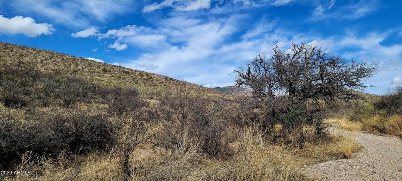Lot 9 West Red Mountain Road