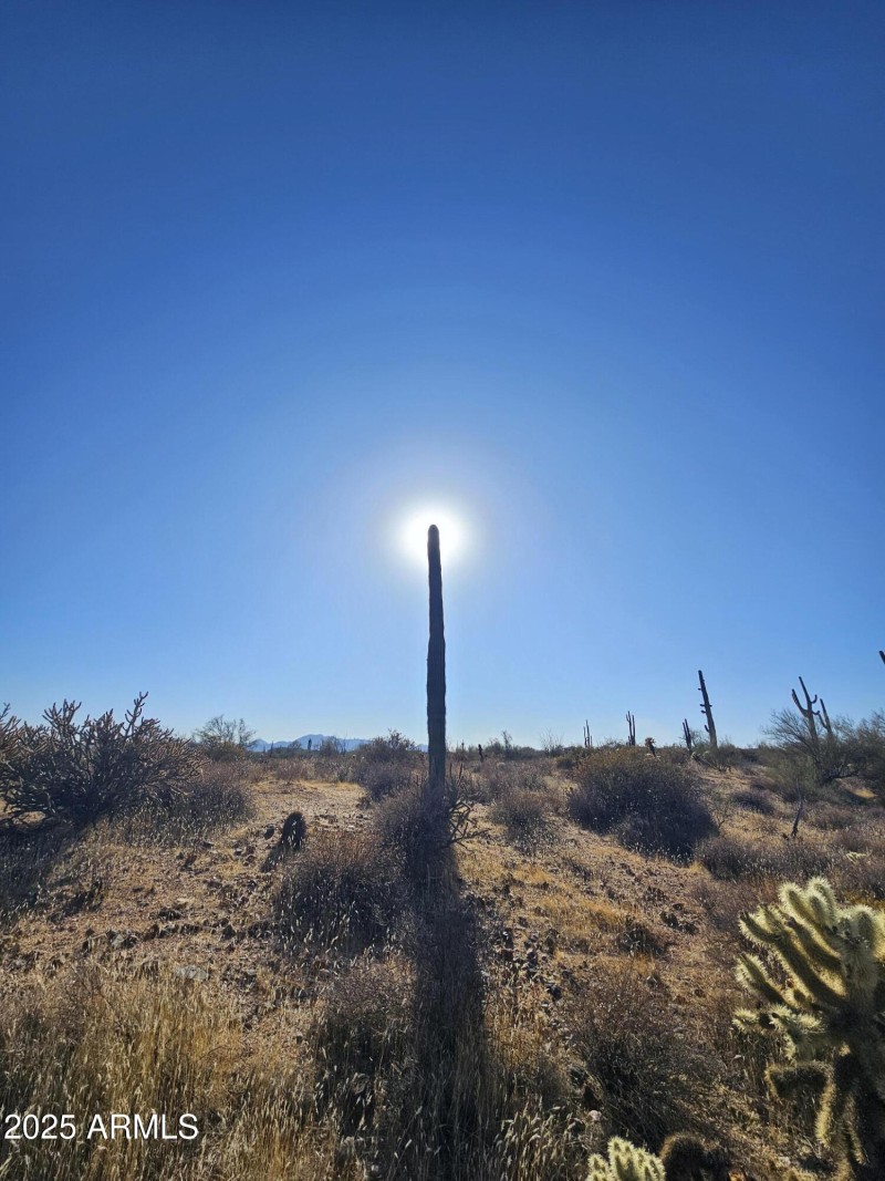 For your own interpretation