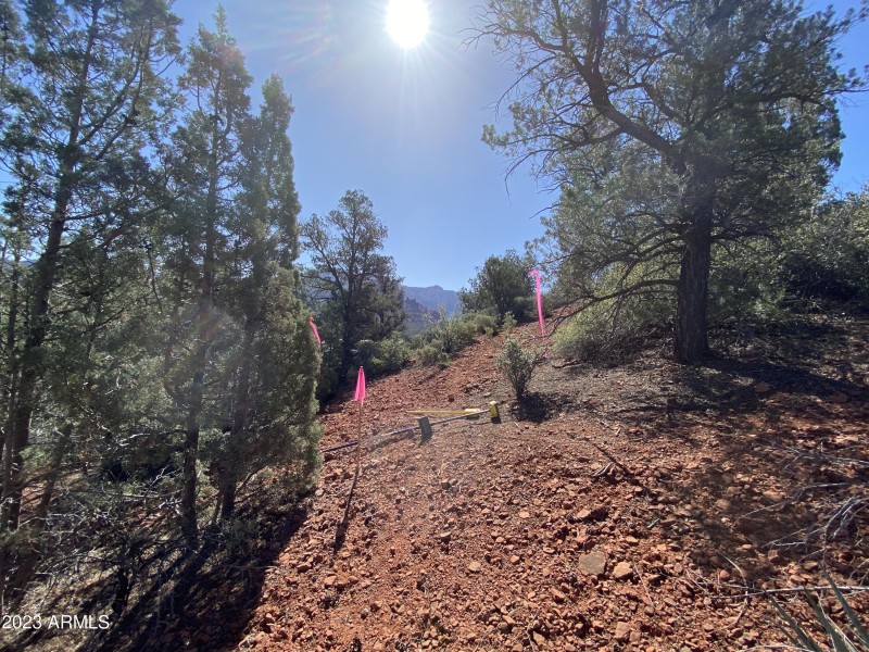 DA0020AF-F493-4318-824D-C21A5375E06B