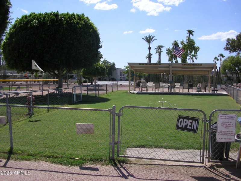 Doggie Park 2