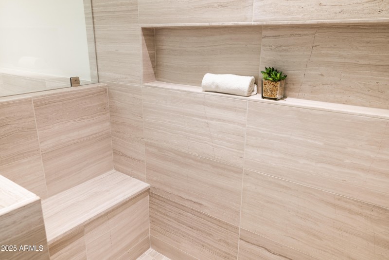 Ascent 304 Primary Bath shower detail