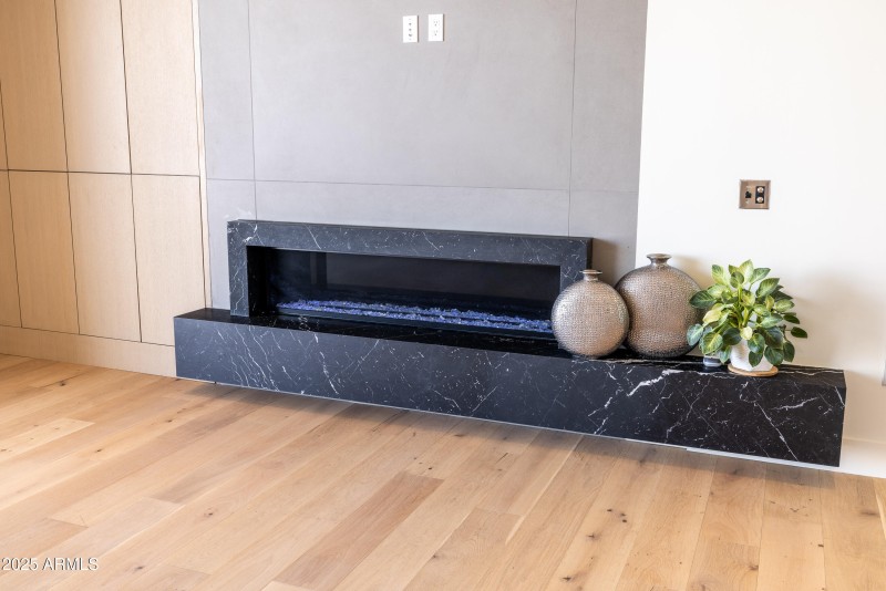 Ascent 304 Fireplace detail1