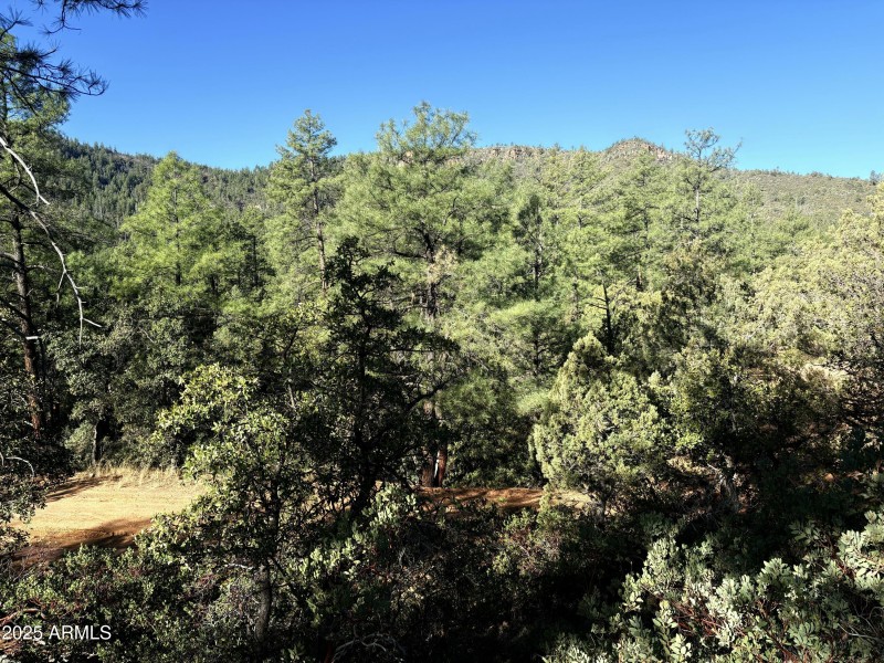 Views from the front of property