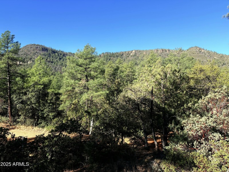 Views of Strawberry Mountain