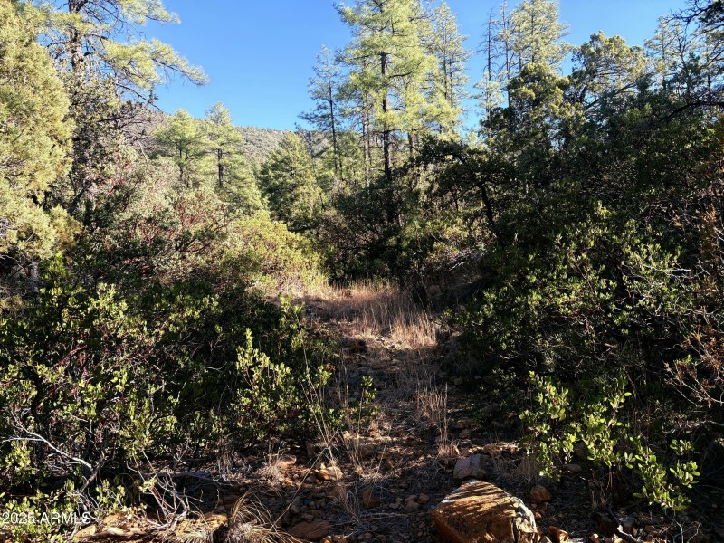 Mountain views behind