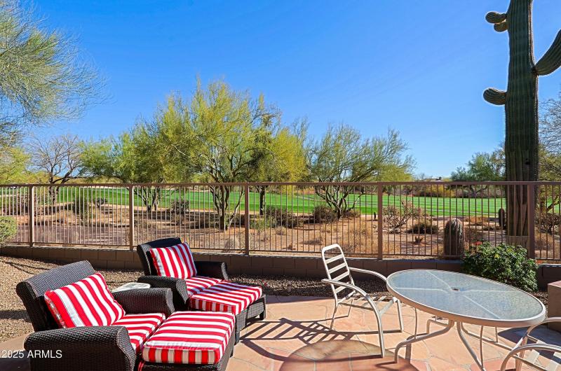 Backyard 2