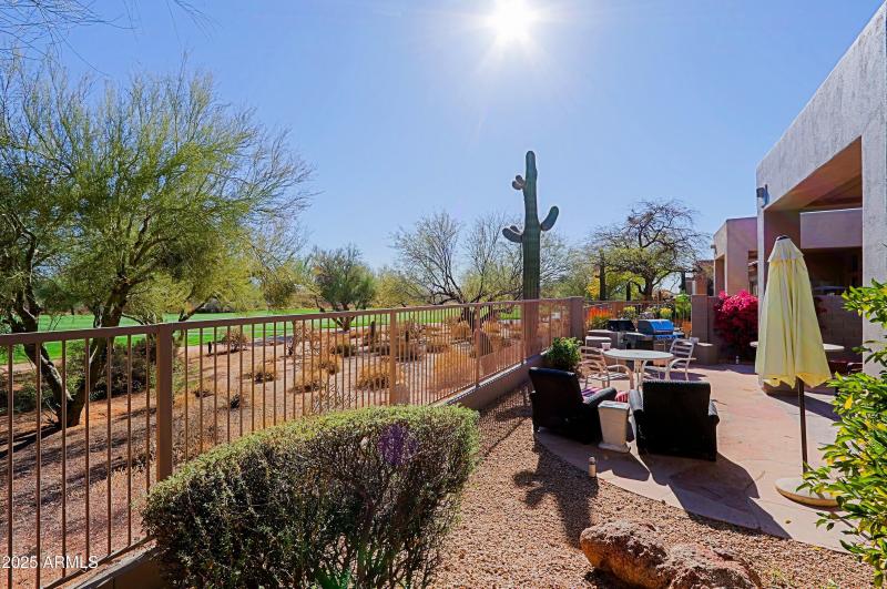 Backyard 4