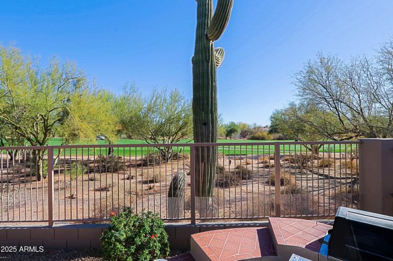 Backyard 9
