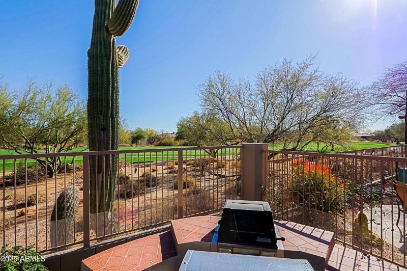 Backyard 10