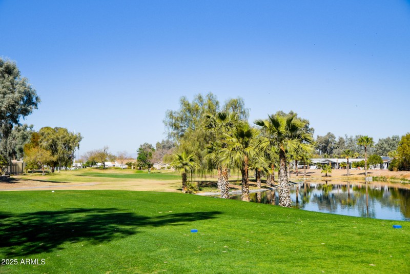 11201 N El Mirage Rd-8011-HDR