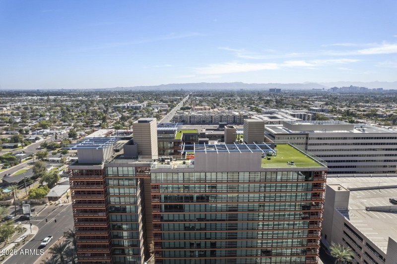 In the Heart of Biltmore