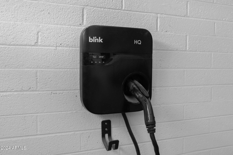 33-web-or-mls-P1017259