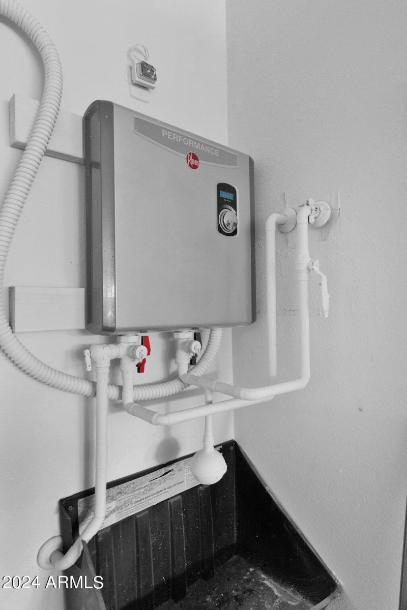 35-web-or-mls-P1017262