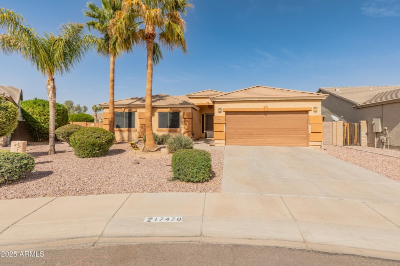 17470 W Gelding Dr-2