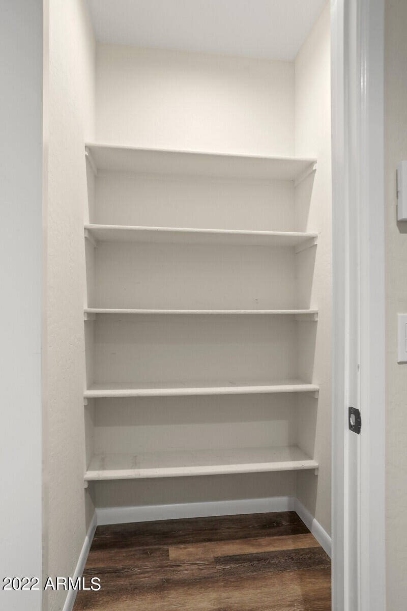 Lower level Closet