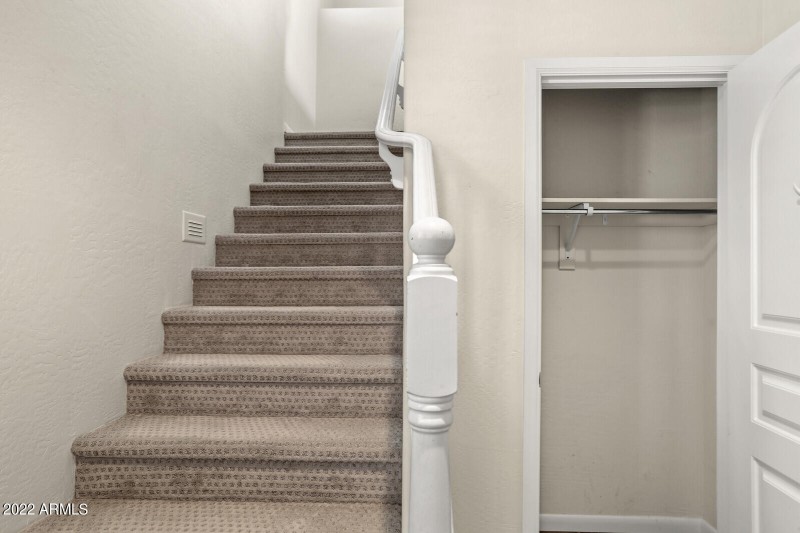 17_3935_E_Rough_Rider__1108__17_mls