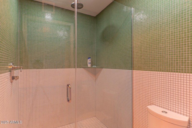 9403 primary shower