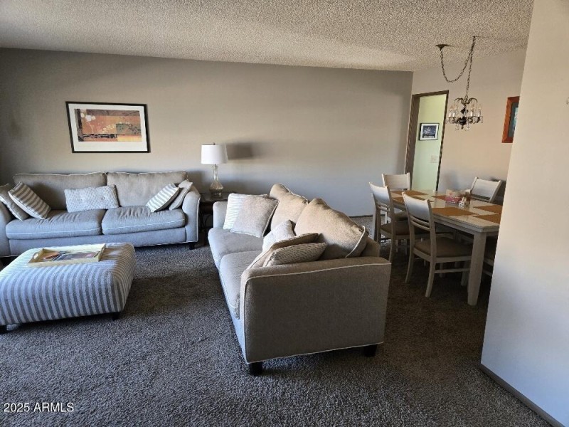 20250308_093119_resized